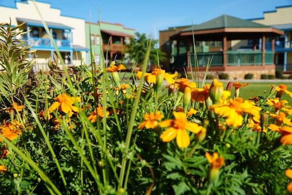 Stroll through a vibrant garden filled with blooming flowers, surrounded by modern buildings with communal spaces.