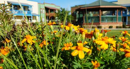 Enjoy family time in the mountains at the Bunkhouse!