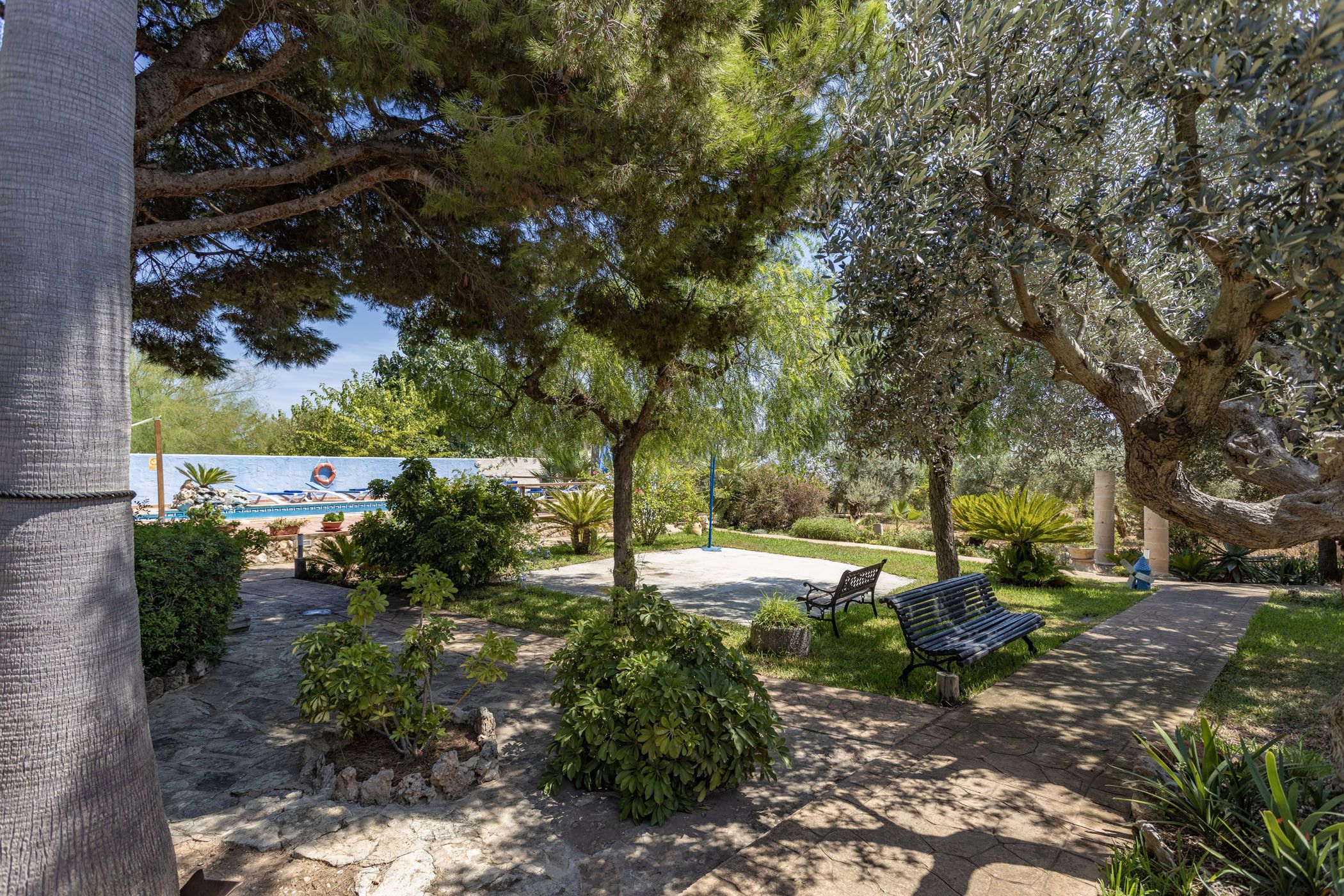 A landscaped garden with trees, shrubs, and a paved walkway.