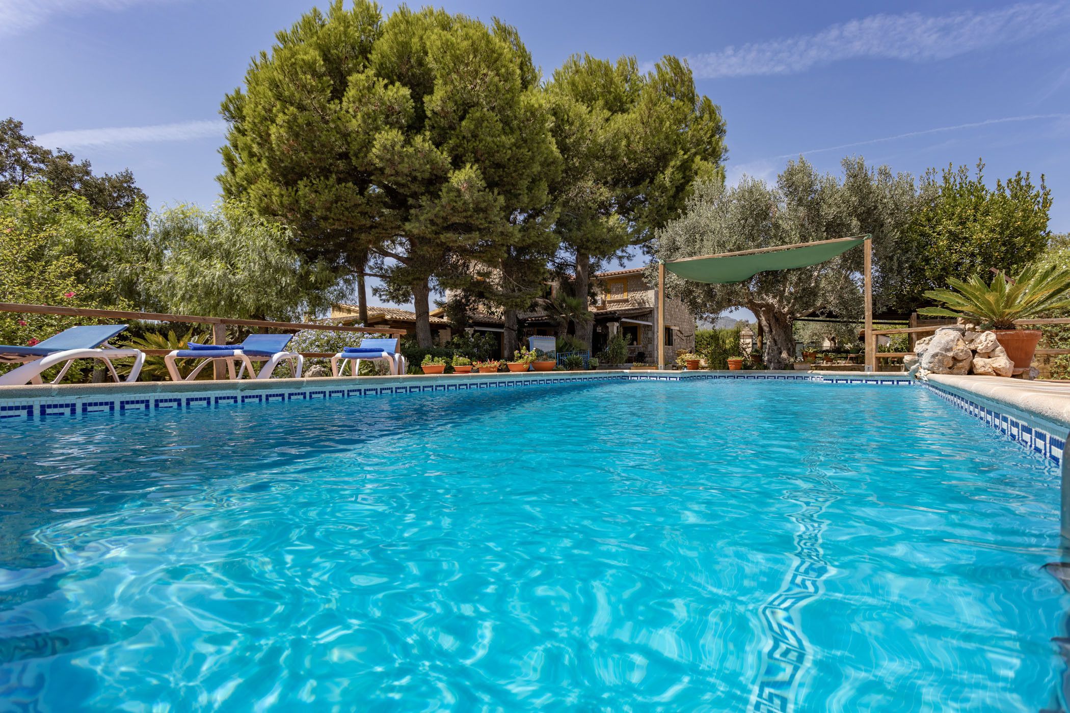 A clear blue pool with lounge chairs and a large tree in the background.