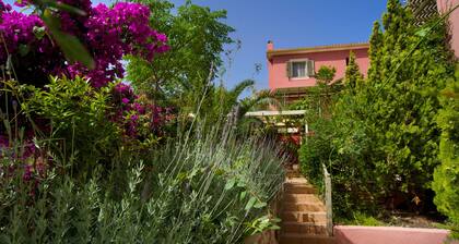 Villa Dioni, Stamoulis villas at the heart of the island