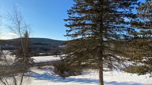 A snow-covered landscape with a prominent evergreen tree and a wooden fence. - Great for Families & Groups! (Windham,)