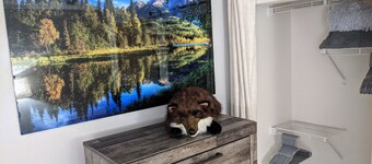 A Creek Runs By It, Steps From Frisco Main St.