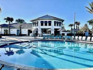 A pool area with lounge chairs and umbrellas, a building with multiple windows, and palm trees.