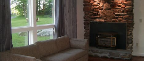 Smart-TV, Kamin