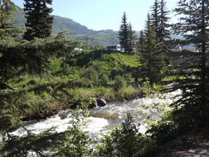 Terrain de l’hébergement 