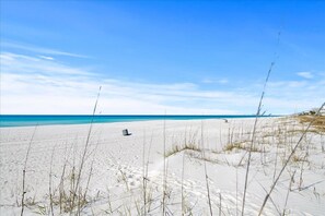 Une plage de sable blanc, avec une végétation clairsemée et un ciel bleu dégagé.