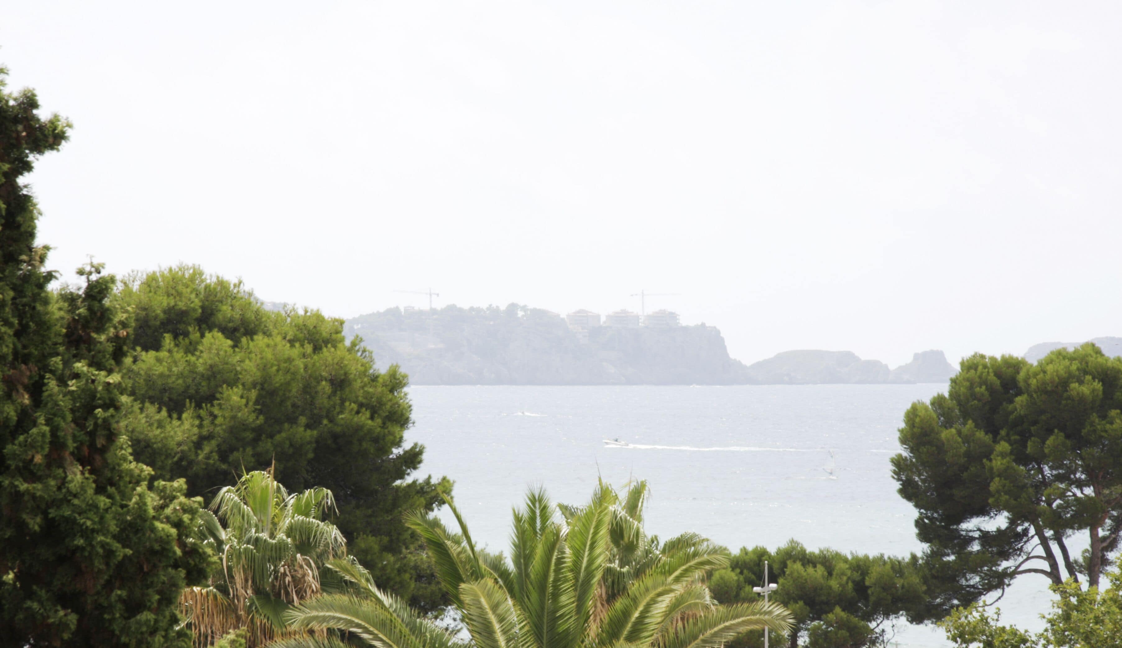 Foto - Morlans Garden