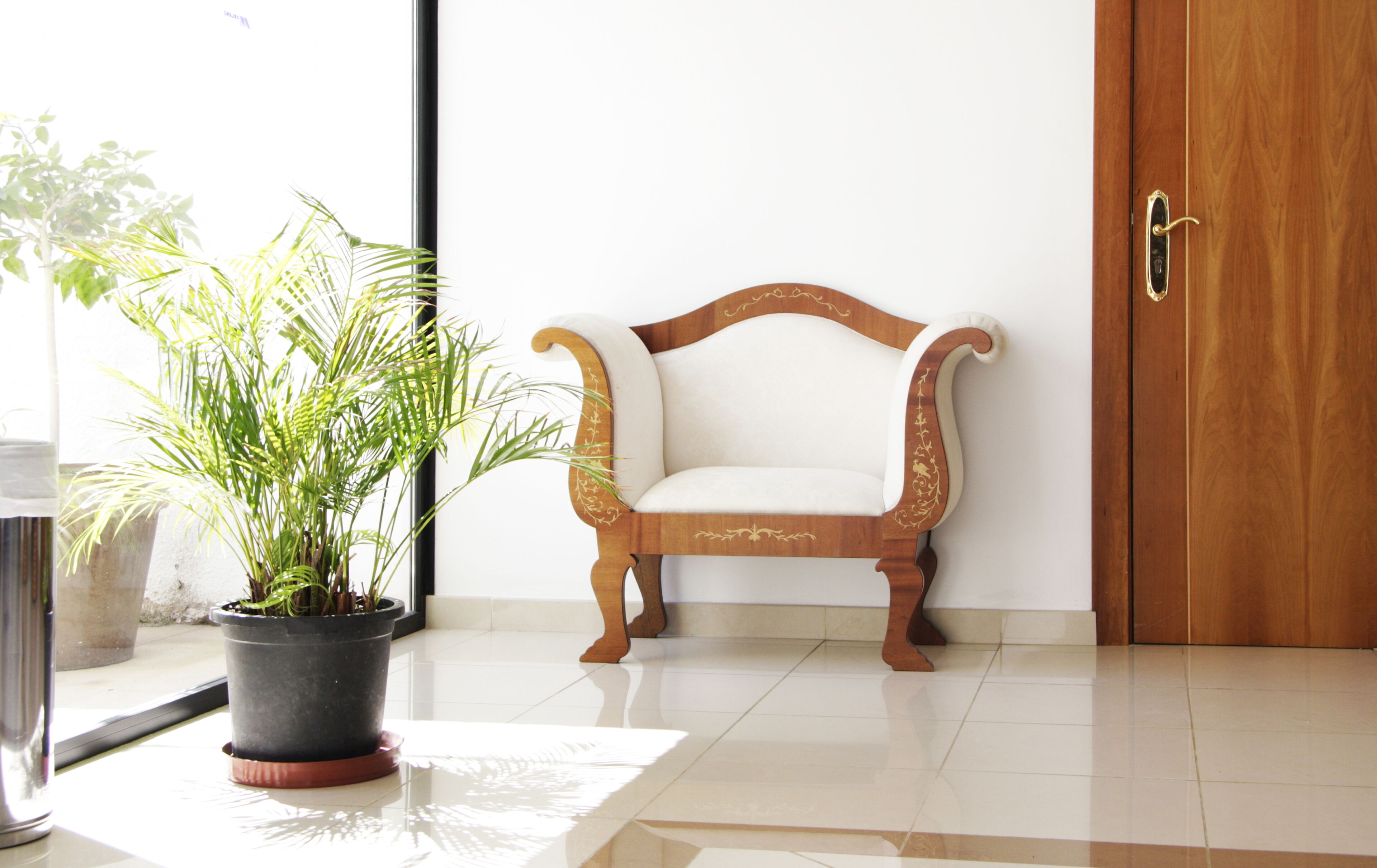 Foto - Morlans Garden