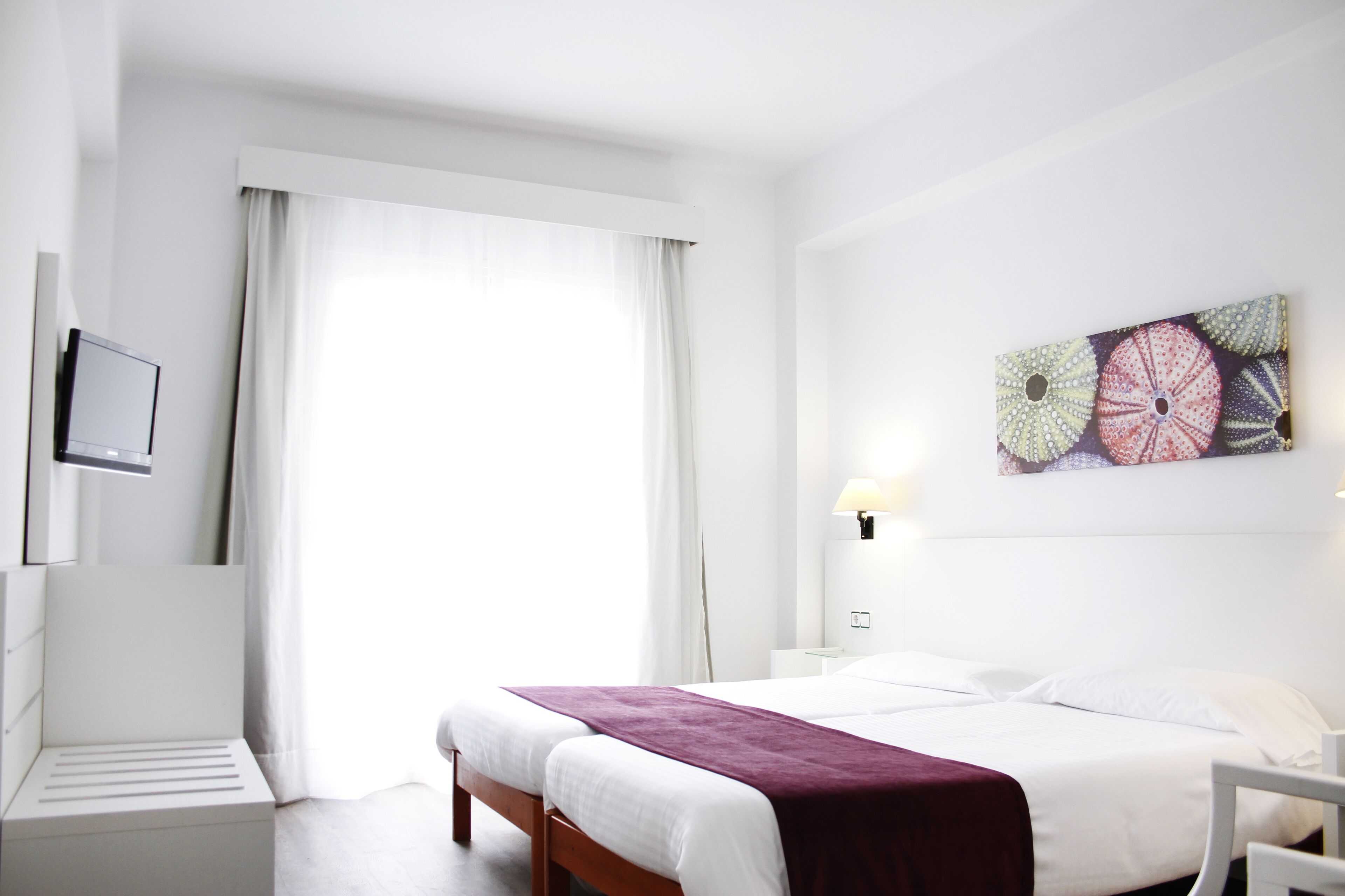 Foto - Morlans Garden