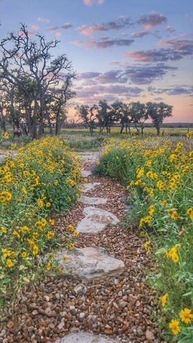 Peaceful Hill Country Cabin - Family & Dog - Friendly with Stunning Night Skies