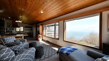 TV connectée, cheminée, livres, services de streaming