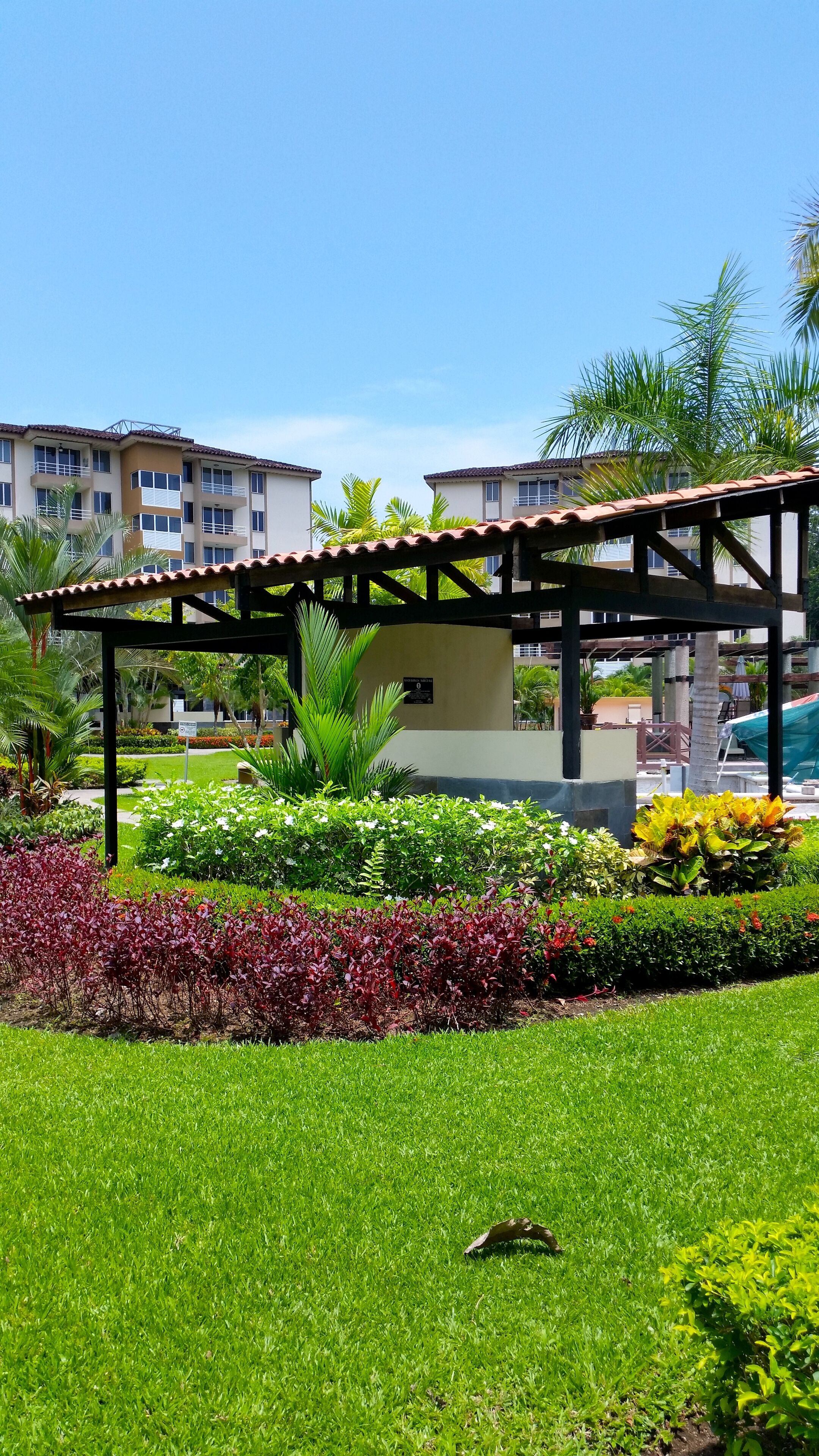 A well-maintained garden area with a pergola structure, lush green grass, and various flowering plants.