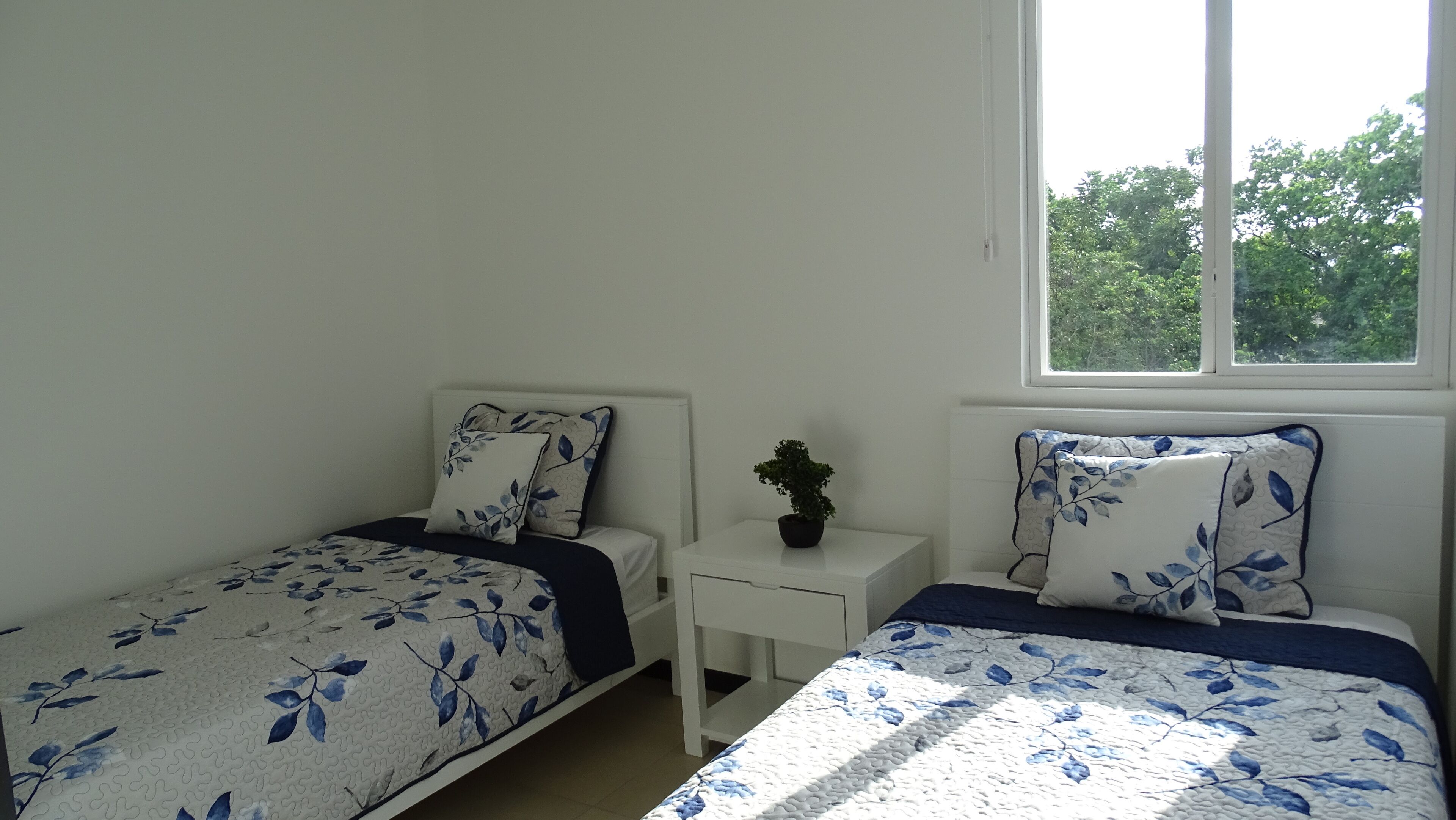 A bedroom with two single beds, a small bedside table with a potted plant, and a window providing a view of trees.