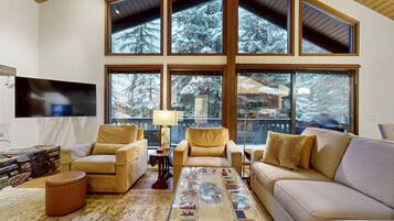 Televisie, een open haard en boeken