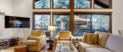 TV, fireplace, books