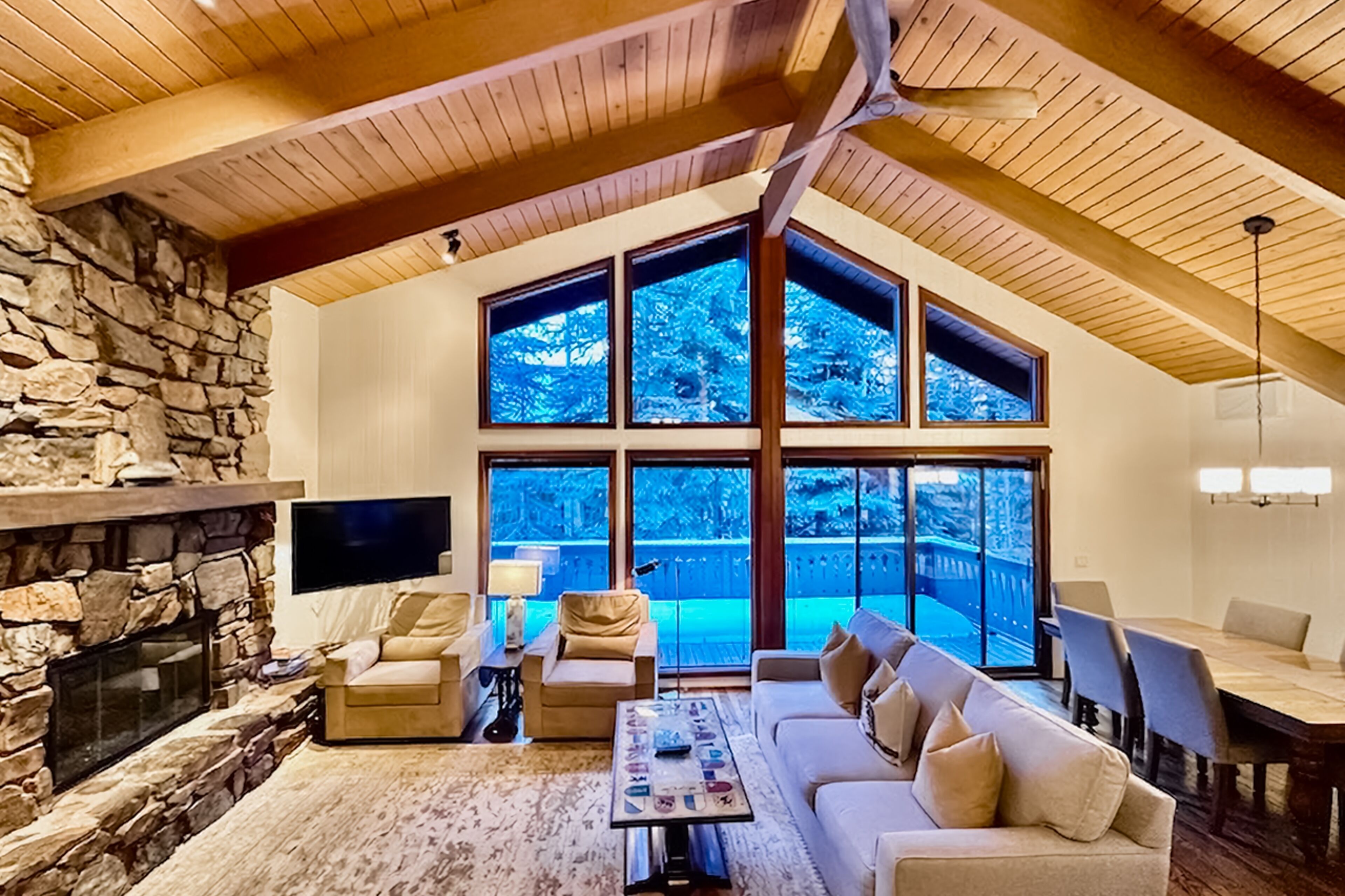 TV, fireplace, books