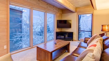 Televisión, chimenea, reproductor de DVD y estéreo