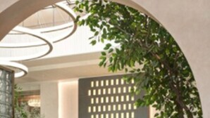 Een moderne, overdekte ruimte met een cirkelvormig uitkijkpunt, met een zithoek met stoelen en tafels, een decoratieve wand met een patroon en een grote boom die voor natuurlijk licht zorgt.
