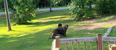 Áreas de la propiedad