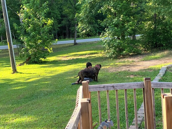 Overnattingsstedets uteområder