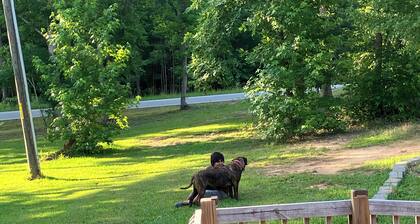 Super clean 7 mile from downtown Newberry safe quiet home Best Deal Around