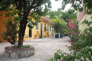 Property grounds - Casa Cuevas & Amaro (Mérida)