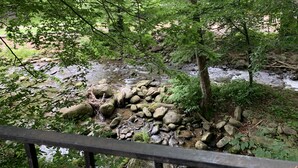 A natural outdoor area with a stream, rocks, and trees. - Carr's Northside Motel and Cottages (Gatlinburg)