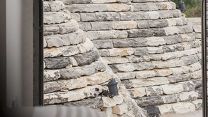 Un muro de piedra con una barandilla metálica al frente.