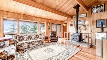 Televisión, chimenea, libros y estéreo