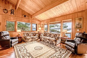 TV, fireplace, books, stereo