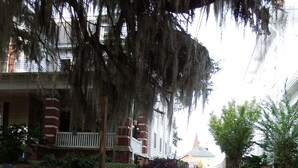 Eine Wohnstraße mit einem Backsteinhaus, einer Veranda und einem großen Baum mit hängenden Moosen.