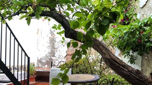 Balcony - Cottage - Sleeps 4 - Pet Friendly - Patio (Olvera)