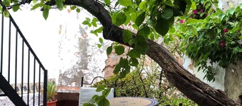 小屋 - 可住4人 - 宠物友好 - 带露台