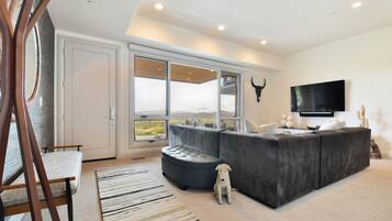Smart TV, fireplace, stereo