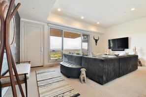 Smart TV, fireplace, stereo
