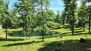 Un cadre extérieur paisible, avec un étang, une végétation luxuriante et des arbres.
