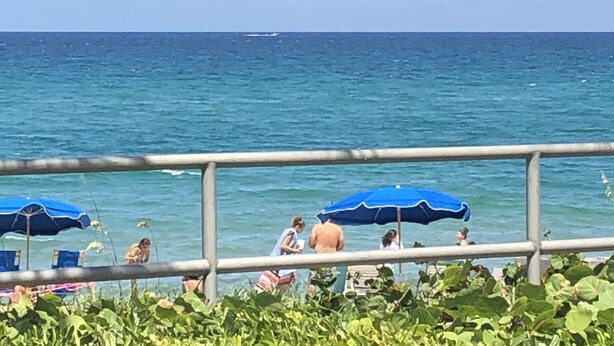A coastal view with a railing, beach umbrellas, and people by the water.