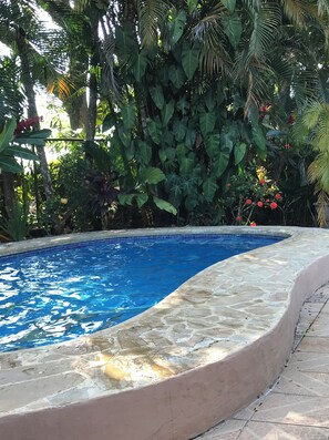 En swimmingpool med stenkant, omgivet af frodig tropisk vegetation og fliseterrasse.