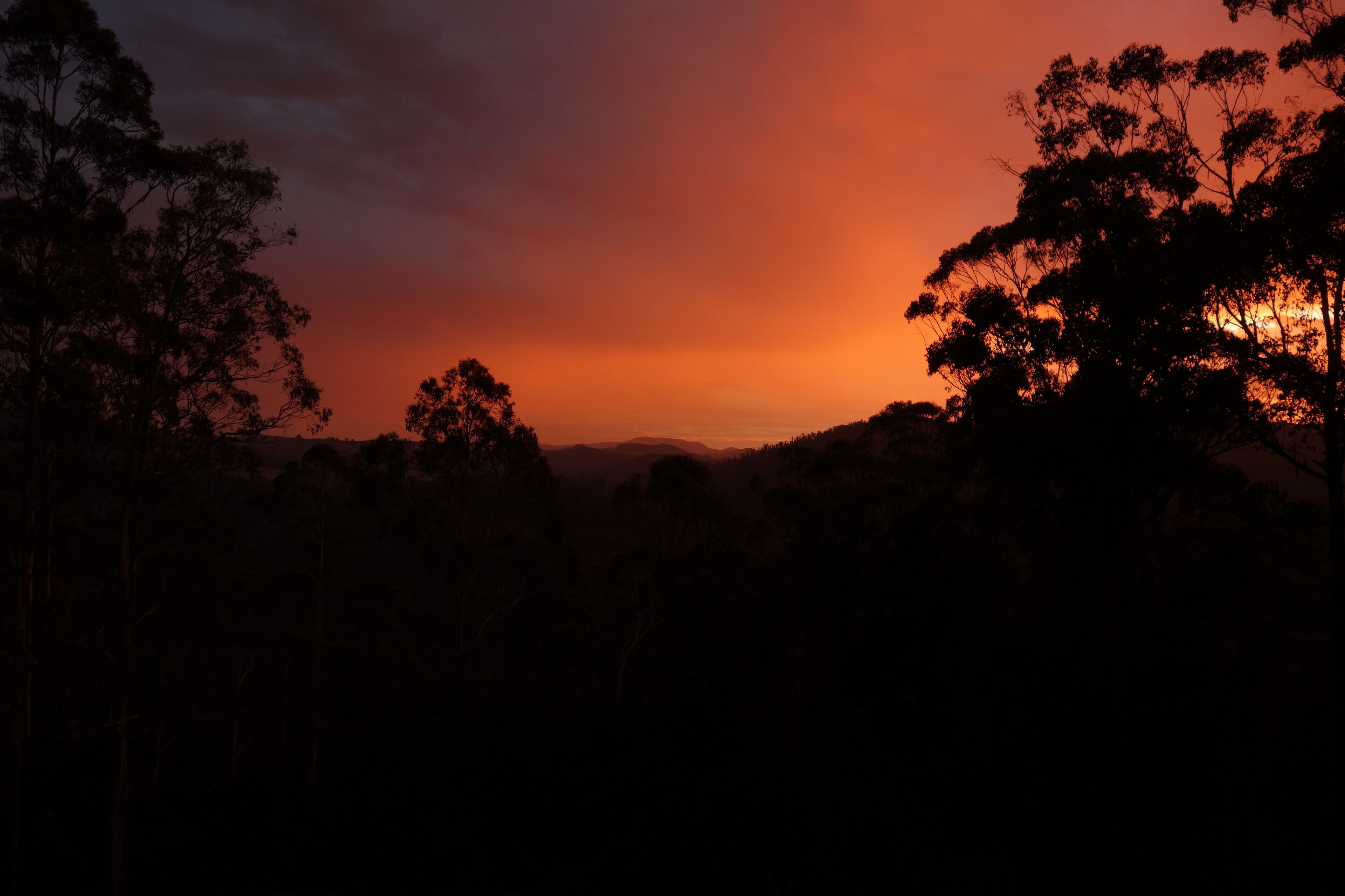 Black Bluff View Retreat - a large comfortable 5 bedroom house on 40 hectares. — image 26