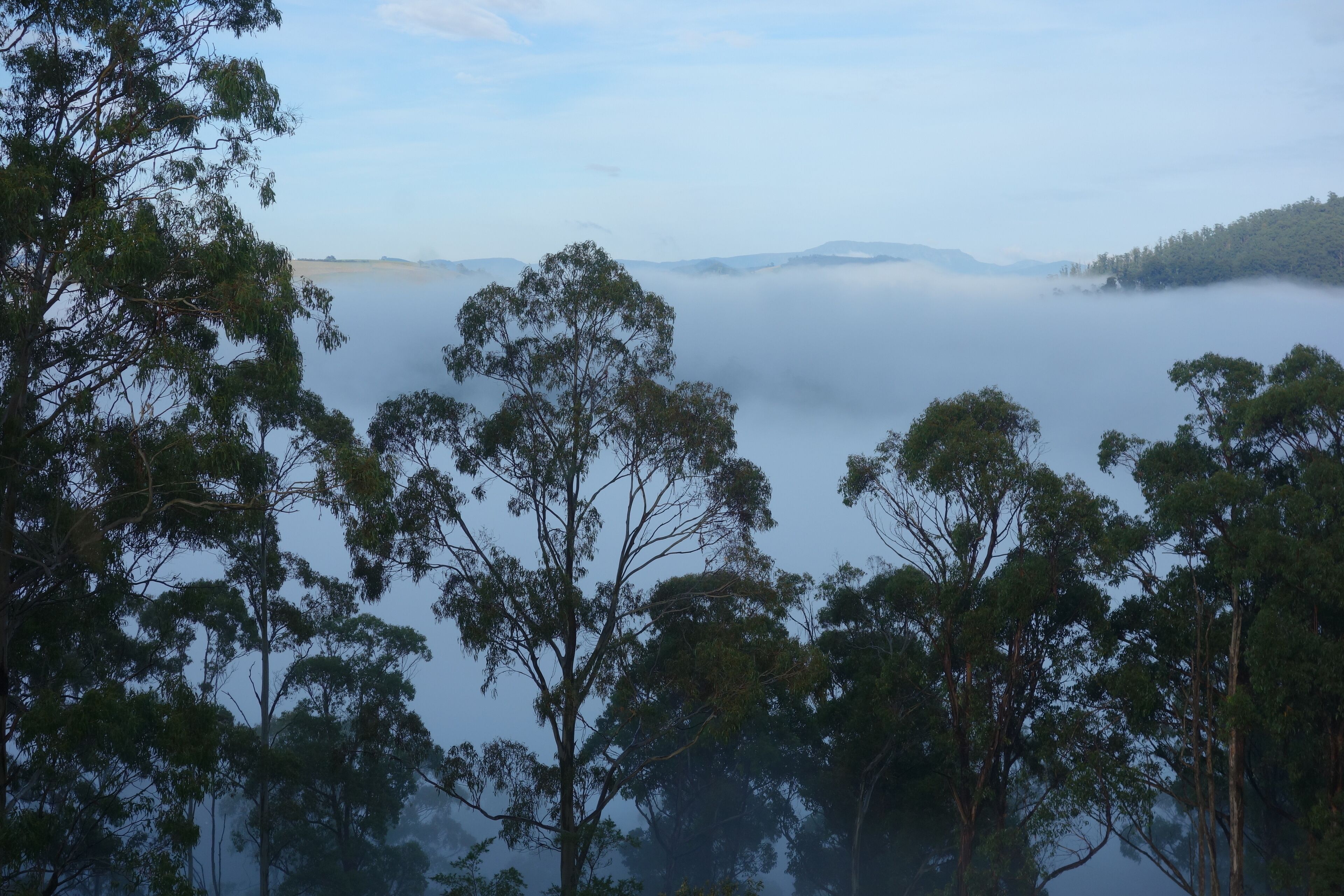 Black Bluff View Retreat - a large comfortable 5 bedroom house on 40 hectares. — image 5