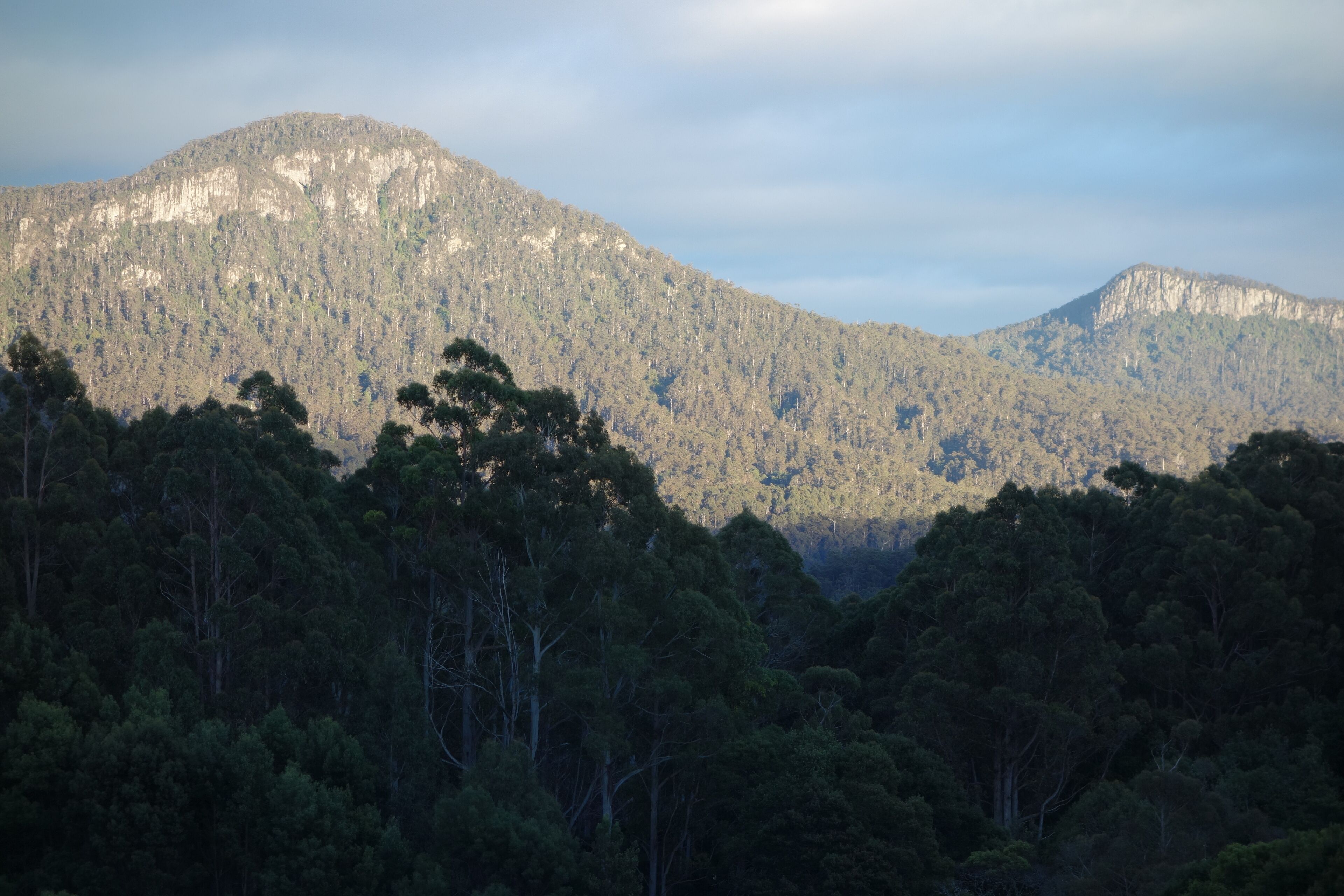 Black Bluff View Retreat - a large comfortable 5 bedroom house on 40 hectares. — image 3