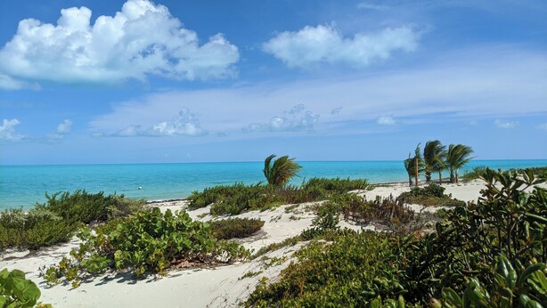 Ein Strand mit weißem Sand, grüner Vegetation und blauem Himmel.