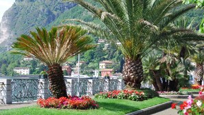 A garden with palm trees and colorful flowers, a stone railing, and a mountainous backdrop. - Residenza Menaggio - Glicine (Menaggio)