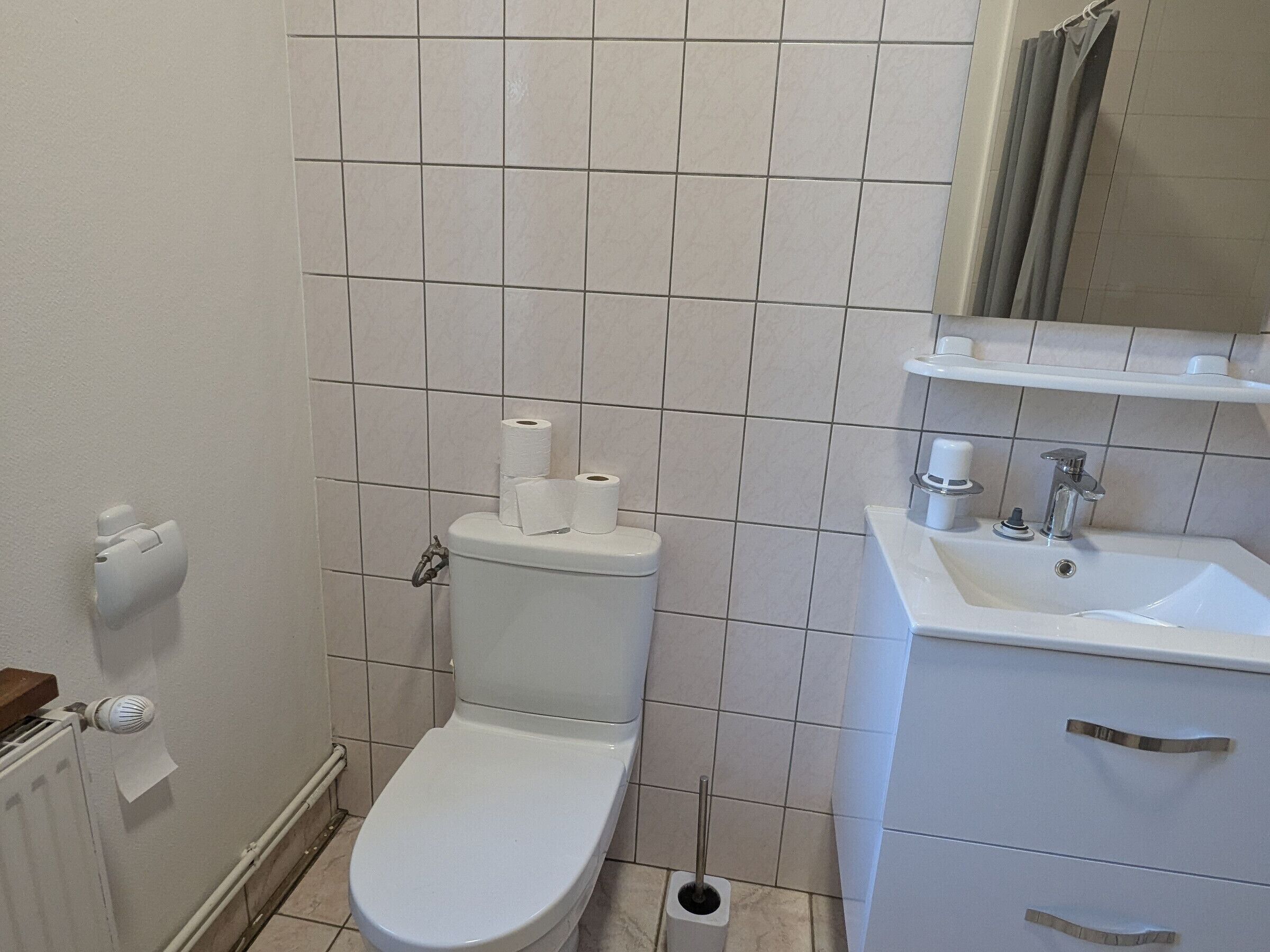 Une salle de bain avec des toilettes, un lavabo et un miroir.