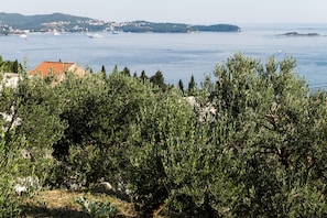Dubbelrum (Double Room with Balcony and Sea View) | Utsikt från boendet