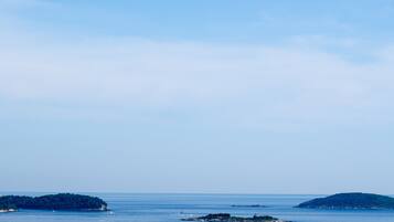 Double Room (Double Room with Balcony and Sea View) | View from property