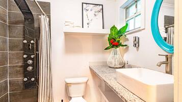 Shower, hair dryer, towels