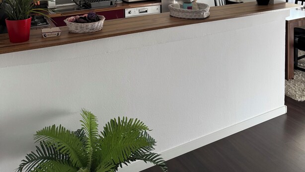 A modern kitchen with a wooden countertop, built-in appliances, and decorative plants.