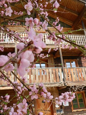 Exterior detail - Wampendobler Paradies (Egglham)